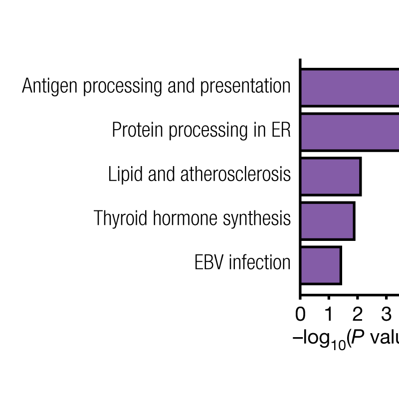 Scientific figure with text labels in a distorted, narrow font.