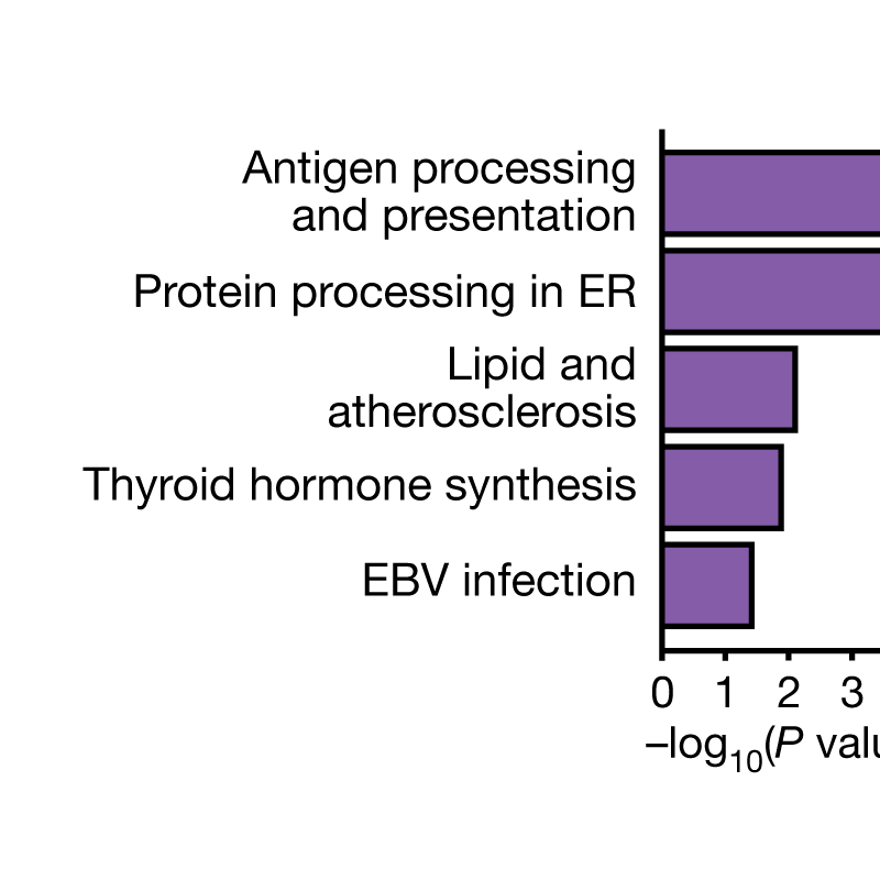 Scientific figure with text labels in the correct font.