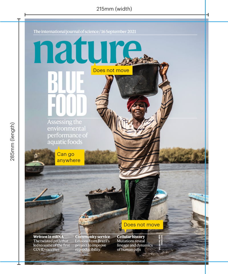 Nature cover layout with guidelines for printing. The cover features a person standing on a boat, balancing a basin on their head, with the title 'BLUE FOOD'. Dimensions are marked as 215mm width and 285mm length. It also shows a 3mm bleed on the top, bottom, and right.