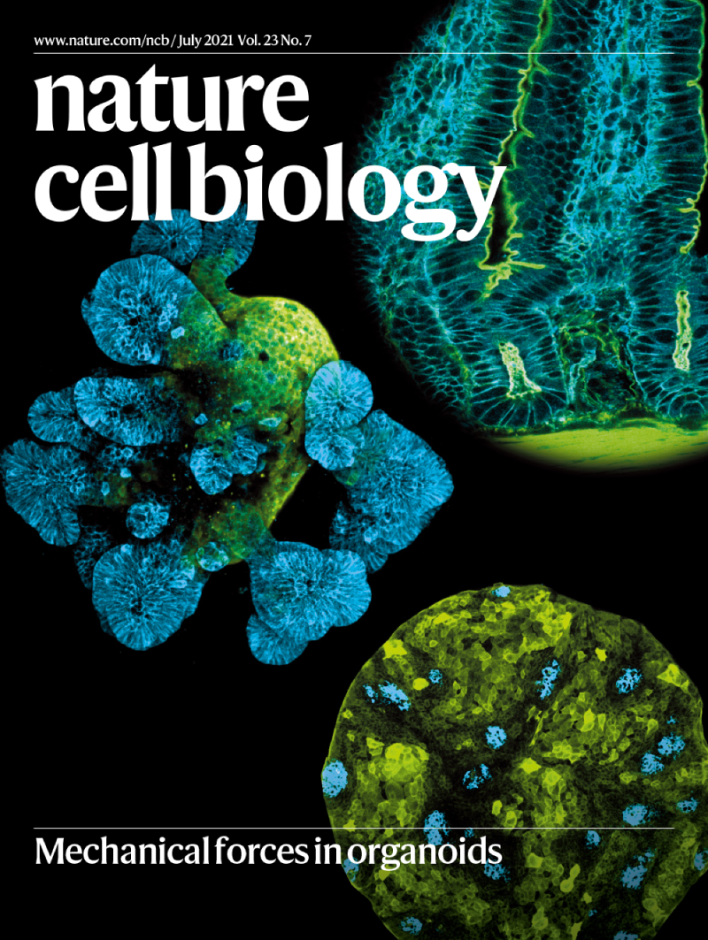 Cover of Nature Cell Biology showing a brightly coloured photograph of cells.