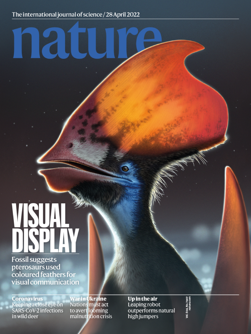 Cover of Nature featuring a realistic illustration of a dinosaur with brightly coloured feathers on top of its head.