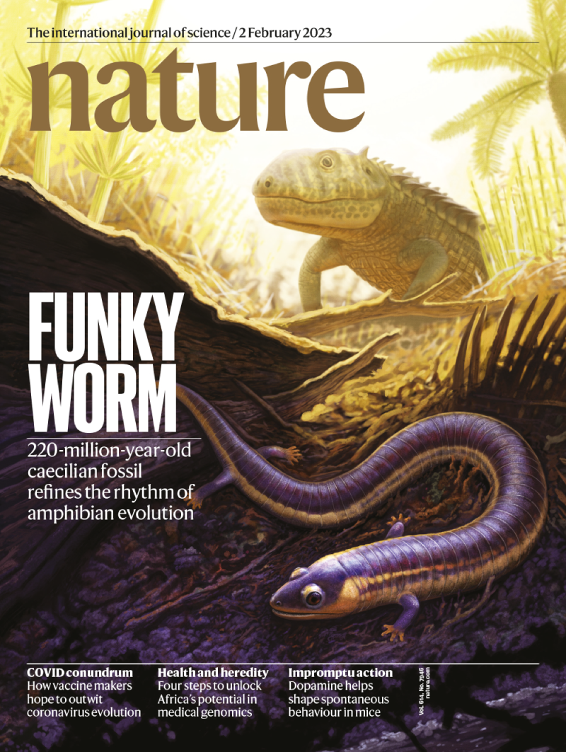 Final version of the Nature cover where the image has been amended so that the focal points are not obscured by the logo.