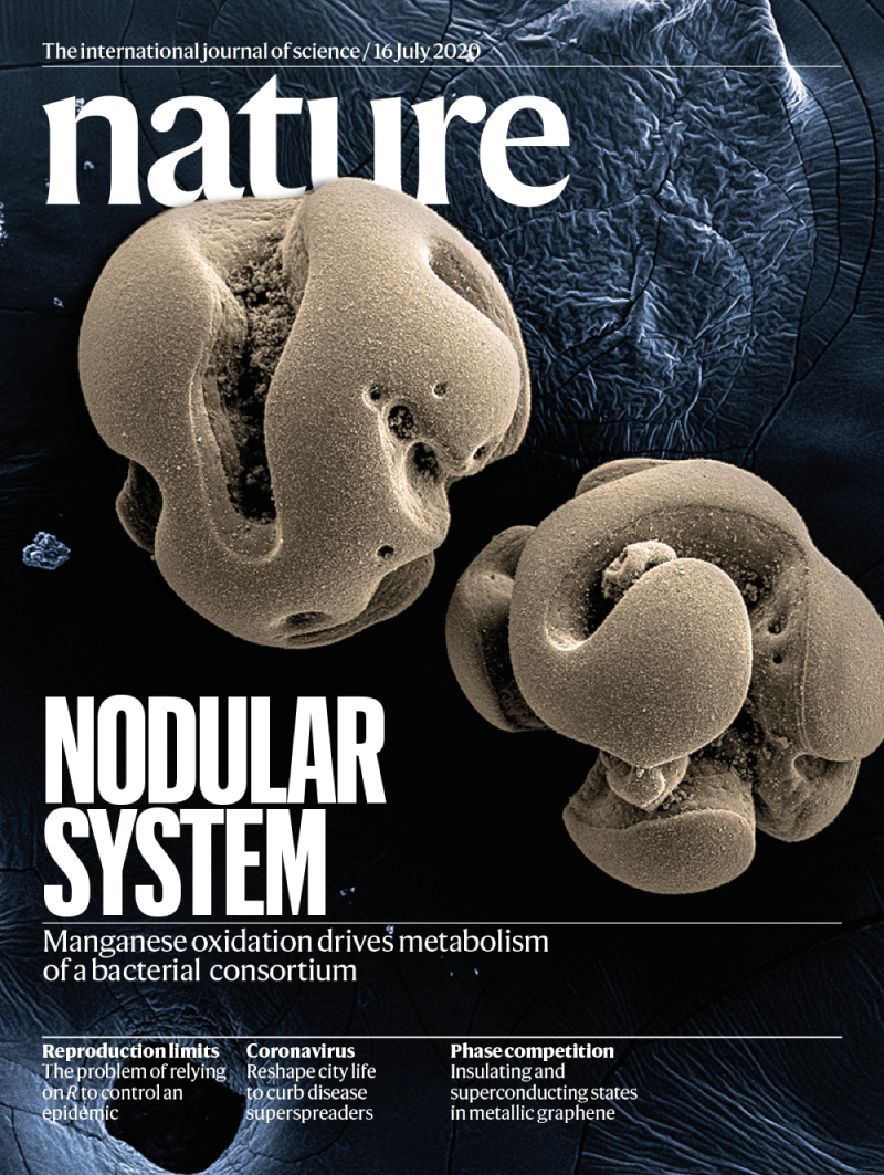 Cover of Nature with a microscope image of manganese oxidation with the headline 'Nodular system'.