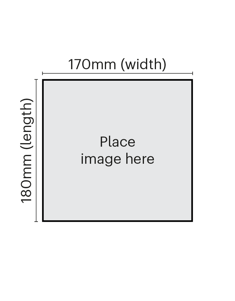 Grey box labelled 'Place image here' in the centre of a journal page. Marked as 170 mm wide by 180 mm tall.