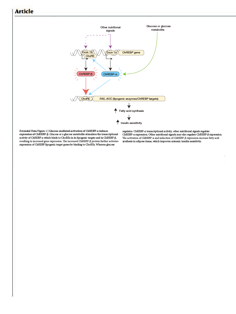 Journal page with correctly formatted extended data figure.