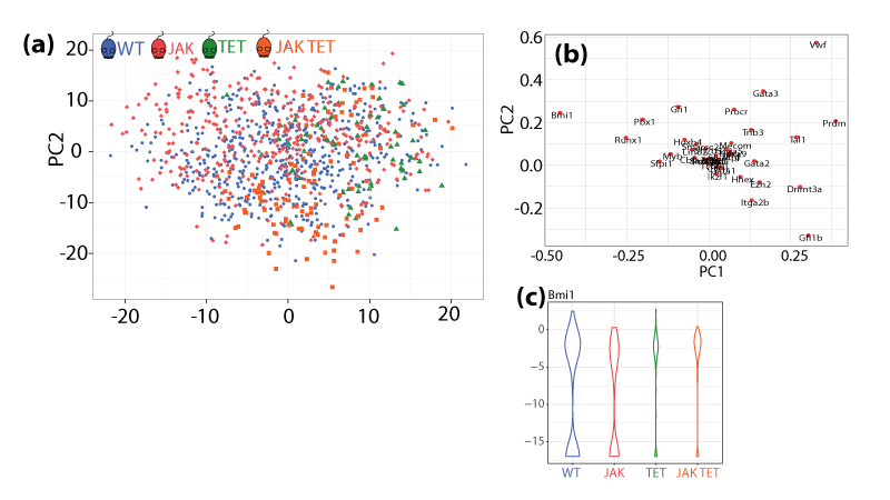 Figures before editing with overlapping text labels coloured icons used in a figure legend.