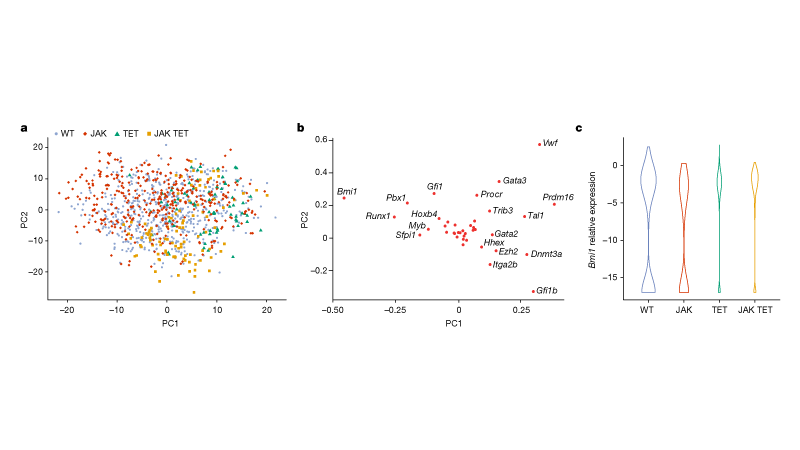 Figures after editing with the Nature style applied to remove overlapping labels and coloured text.