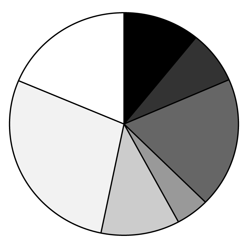 Pie chart where each segment is a distinct, solid grey colour.